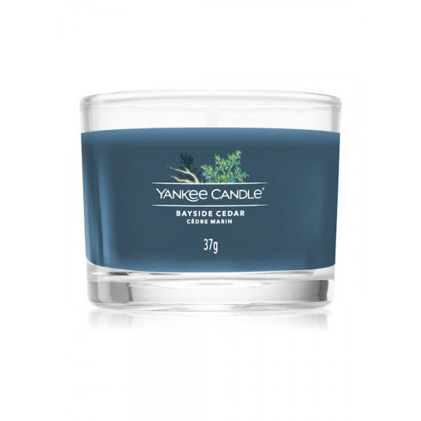 Yankee Candle Αρωματικό Κερί σε Βάζο Bayside Cedar 37gr