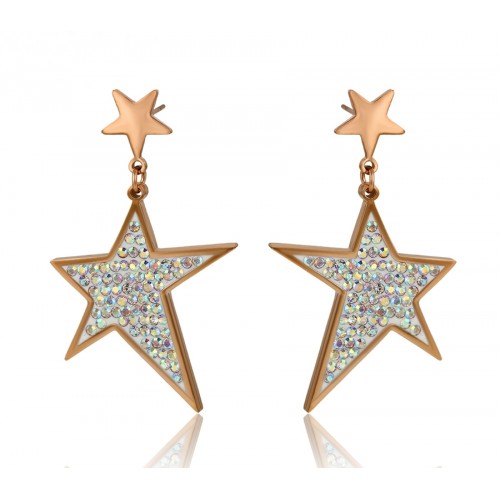 Σκουλαρίκια XJ240006