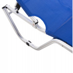 ΞΑΠΛΩΣΤΡΑ ΕΠΑΓΓΕΛΜΑΤΙΚΗ WALDO ΑΛΟΥΜΙΝΙΟΥ HM5071.01 ΜΠΛΕ 60x195x30 cm